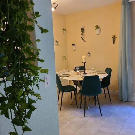 Joli Studio Renove Situe Au Pied Des Thermes Amélie-les-Bains-Palalda Dış mekan fotoğraf