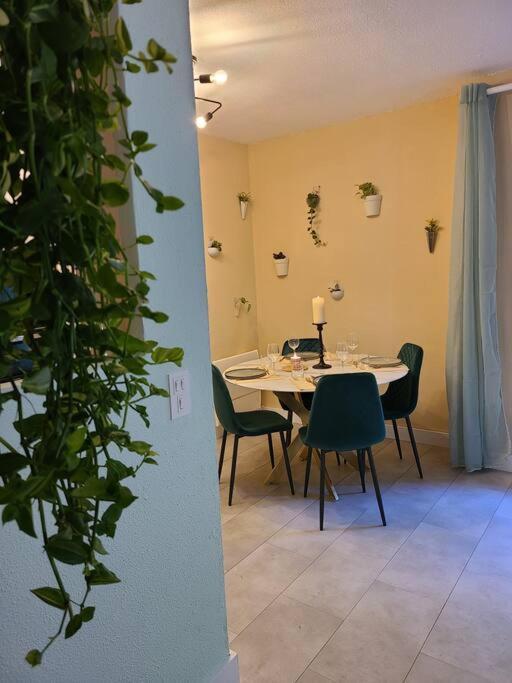 Joli Studio Renove Situe Au Pied Des Thermes Amélie-les-Bains-Palalda Dış mekan fotoğraf