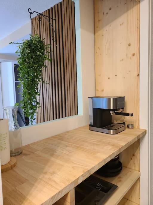 Joli Studio Renove Situe Au Pied Des Thermes Amélie-les-Bains-Palalda Dış mekan fotoğraf