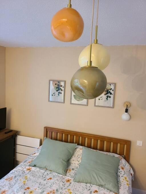 Joli Studio Renove Situe Au Pied Des Thermes Amélie-les-Bains-Palalda Dış mekan fotoğraf