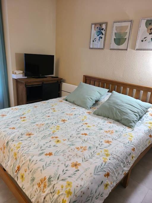 Joli Studio Renove Situe Au Pied Des Thermes Amélie-les-Bains-Palalda Dış mekan fotoğraf