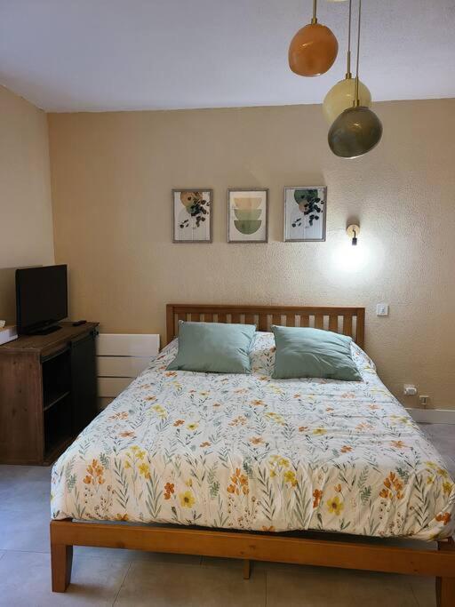 Joli Studio Renove Situe Au Pied Des Thermes Amélie-les-Bains-Palalda Dış mekan fotoğraf